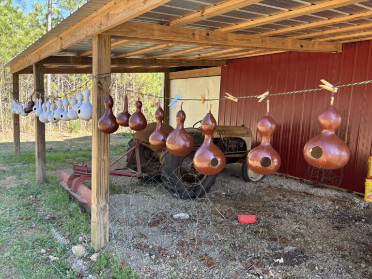 The Lower 40 Farm1 768x576